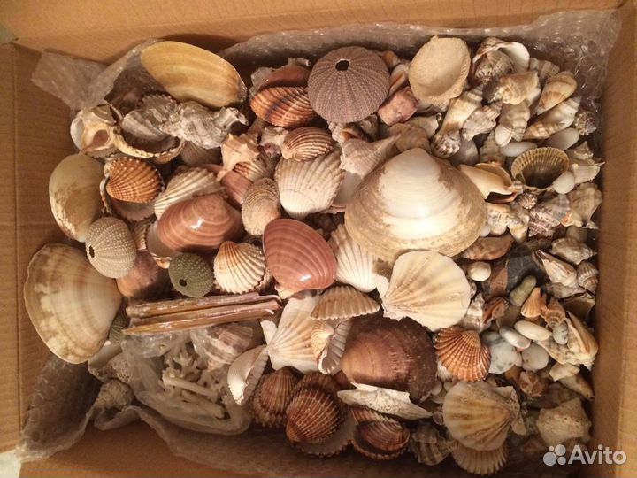 Ракушки,камешки,звезды морские Для аквариума