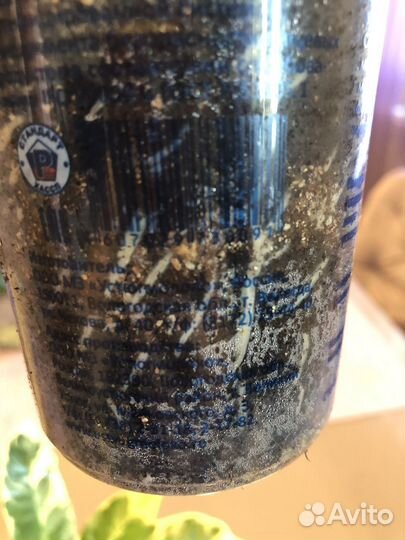 Кротон эбурнеум