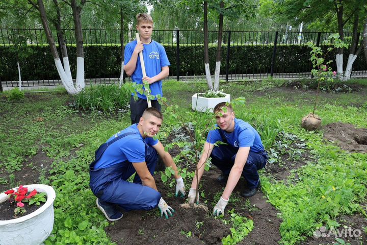 Услуги по озеленению и благоустройству
