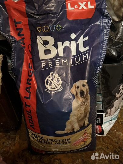 Корм для собак брит