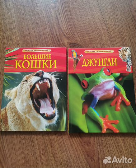 Детская энциклопедия росмэн