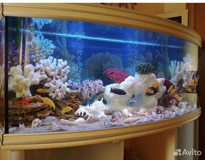 Оформление и обслуживание аквариума