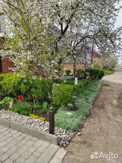 Сад и огород