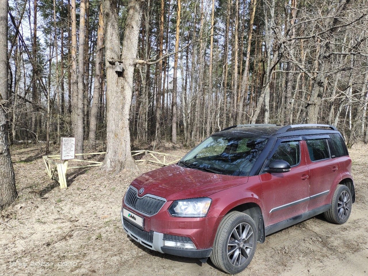 Skoda Yeti: фото владельца
