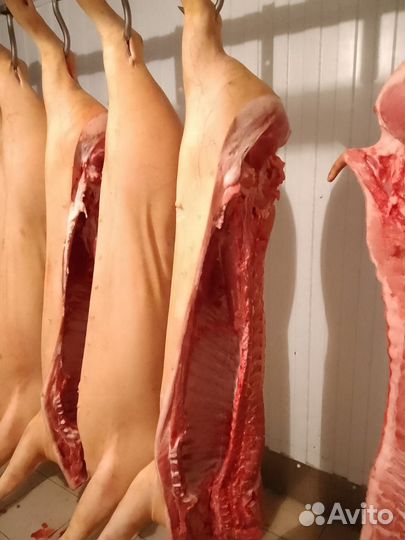 Мясо свинина полутуши