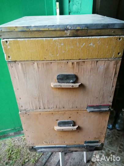 Пчелы и улья