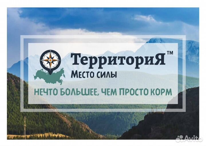 Корм супер премиум класса для кошек Территория