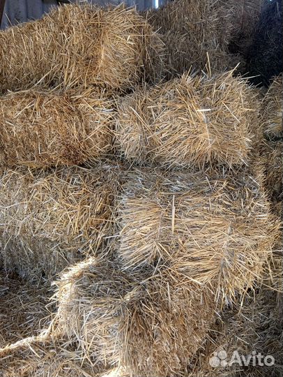 Сено разнотравье,люцерна, солома