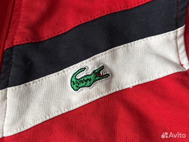 Олимпийка lacoste 104