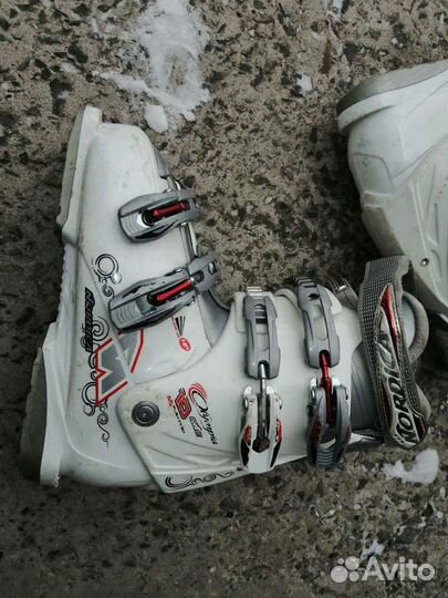 Горнолыжные ботинки
