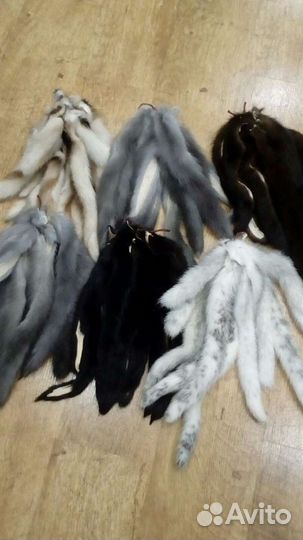 Хвосты норки