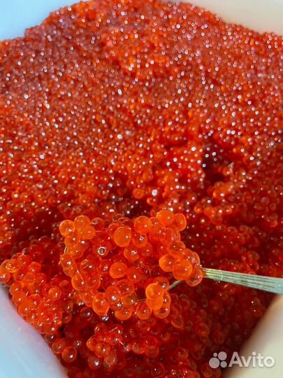 Красная икра нерки оптом 2023