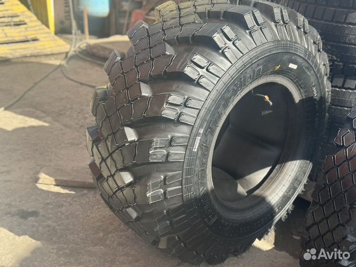 1200/500-508 Алтайшина ид-П284