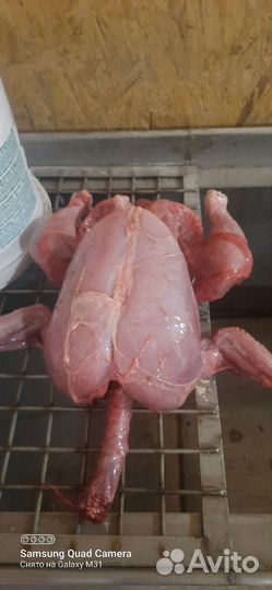 Мясо для собак