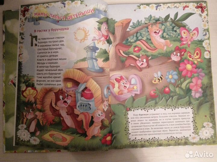 Необыкновенная книга об удивительных животных