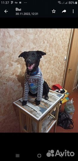 Мальчик Крош ищет дом