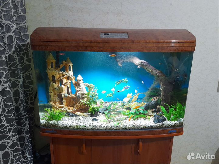 Аквариум jebo r390