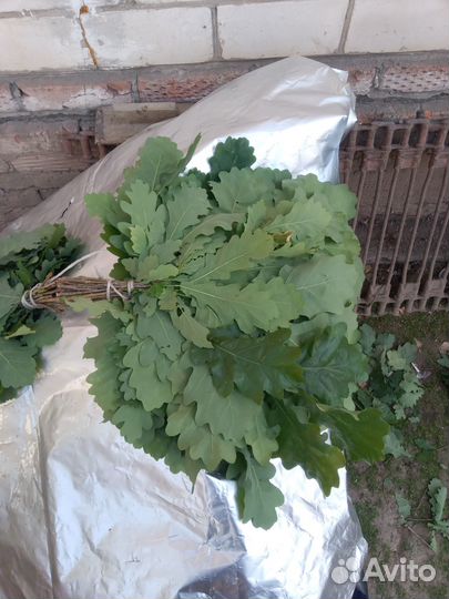 Дубовые веники для бани