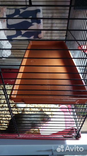 Полки для клетки