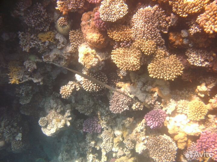 Фотоаппарат подводный Sealife DC1200 Elite