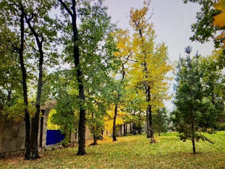 Участок 14 сот. (ИЖС)