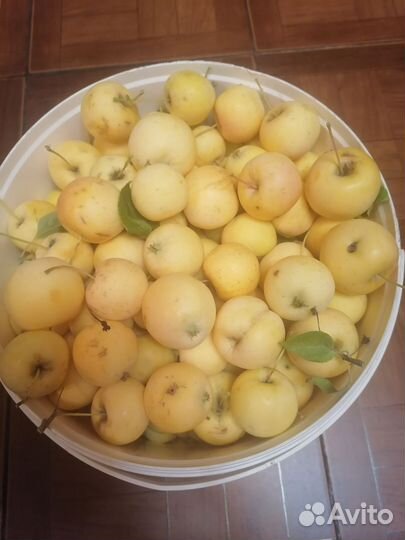 Яблоки ранетки