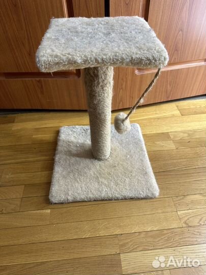 Когтеточка для кошек