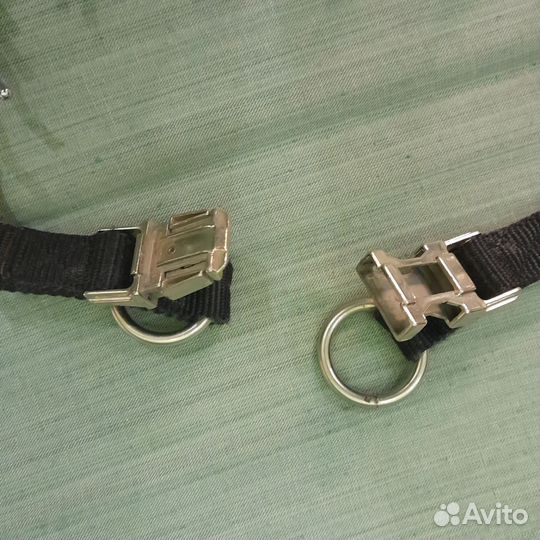 Строгий ошейник для собак