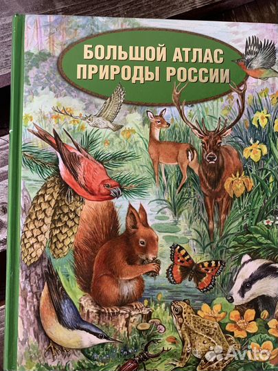 Большие подарочные энциклопедии доя детей