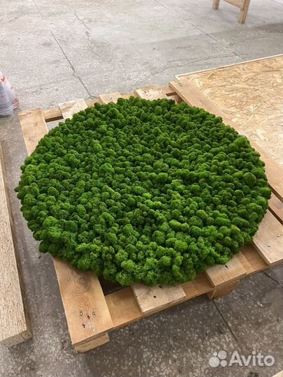 Круглое панно из мха