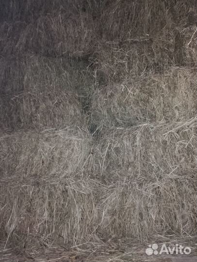 Продам сено в брикетах