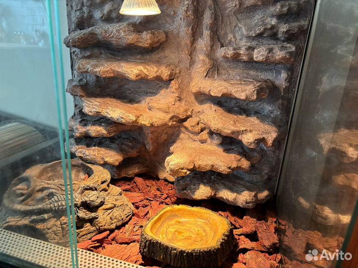 Террариум для рептилии (идеален для эублефара)