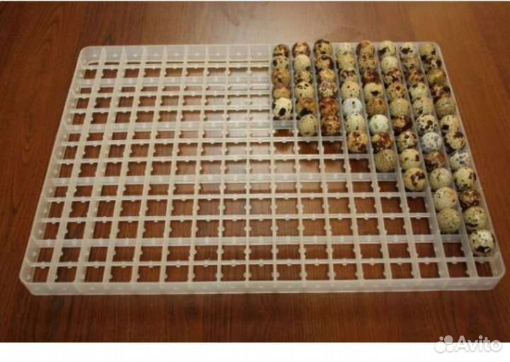 Лотки для инкубатора