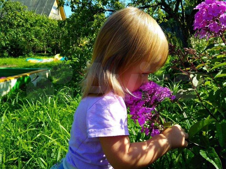 Дача 65 м² на участке 8,4 сот.