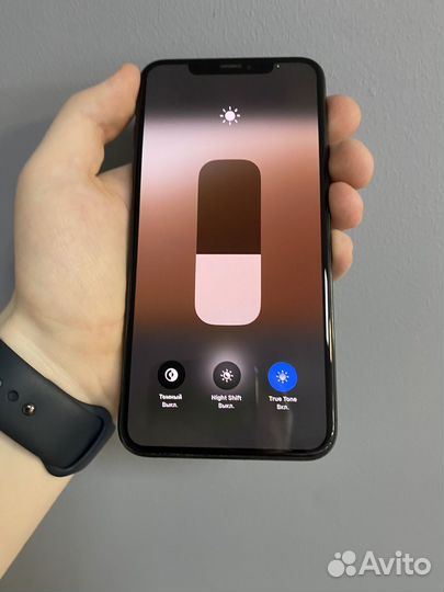 iPhone Xs Max, 256 ГБ