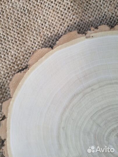 Спилы дерева