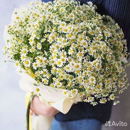 Букеты. Доставка ромашек