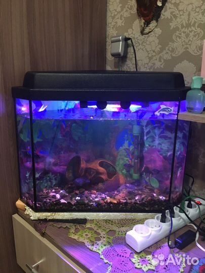 Аквариум