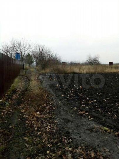 Участок 4,8 сот. (СНТ, ДНП)