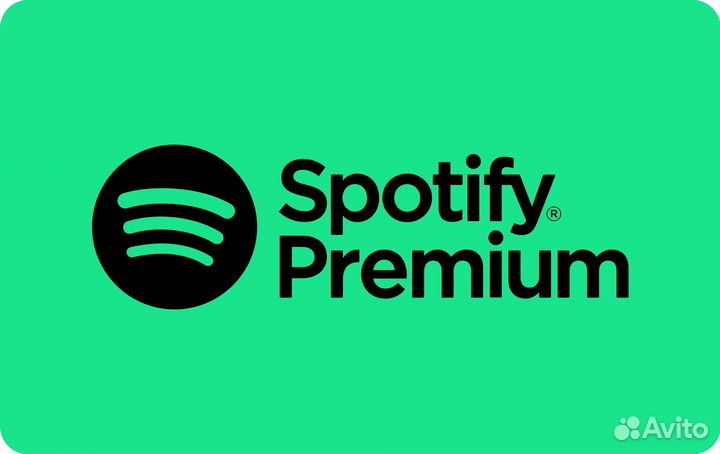 Spotify Premium на 3/6/12 месяцев
