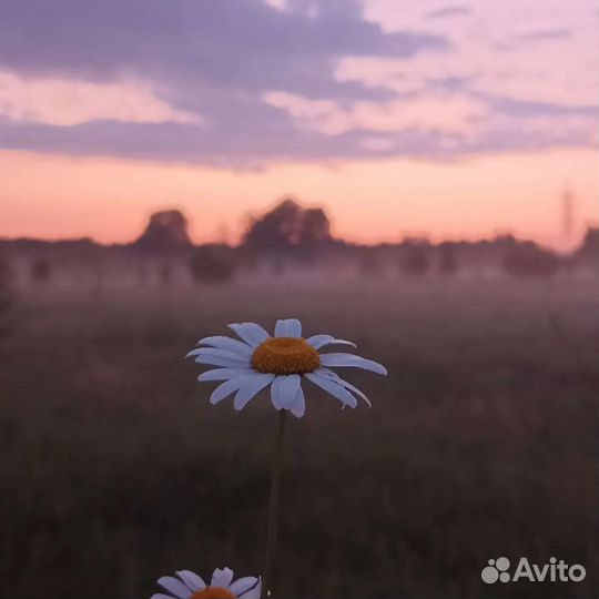 Рабочий, помощь по хозяйству