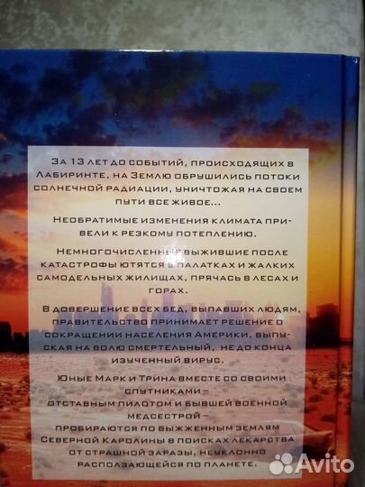 Бегущий в лабиринте