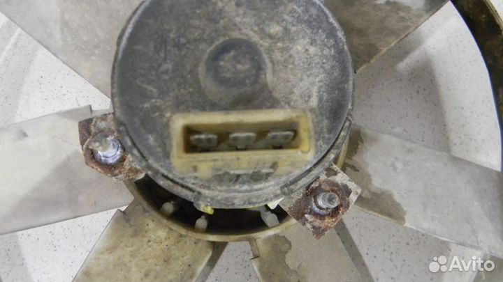 Вентилятор радиатора