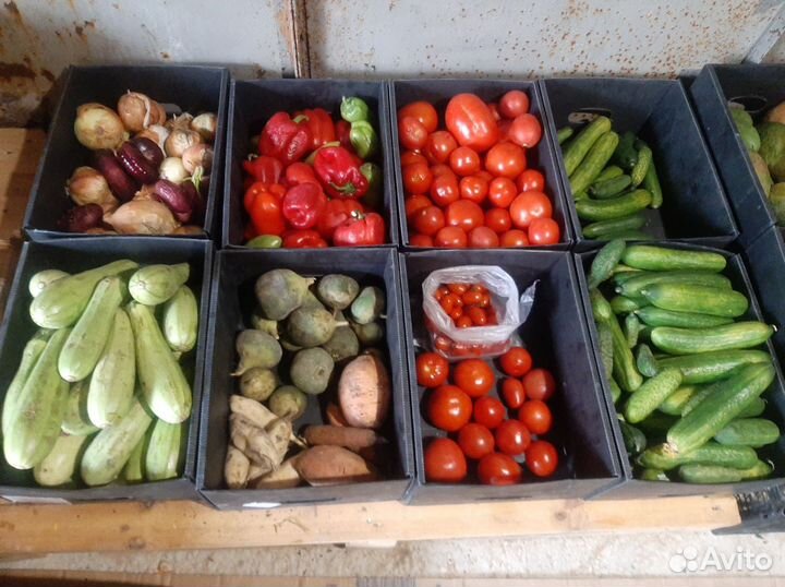 Овощи фрукты для животных