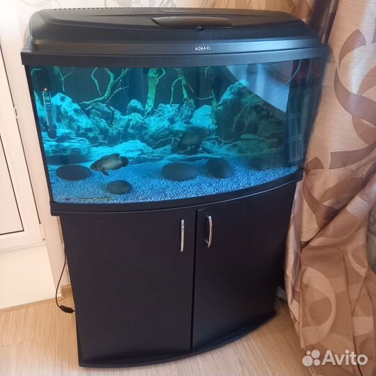 Аквариум с тумбой aquael