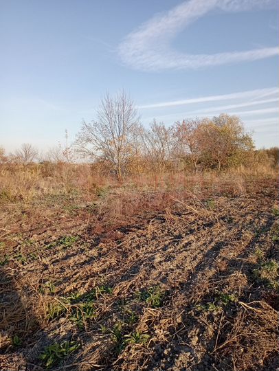 Участок 8 сот. (ИЖС)