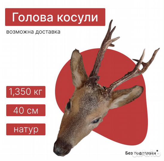 Голова косули