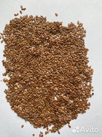 Семена Льна масличного 10 тонн
