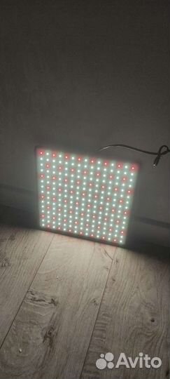 Фитолампа для растений