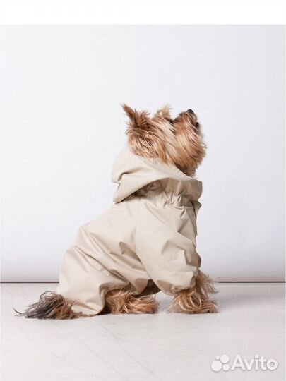 Дождевик для собаки